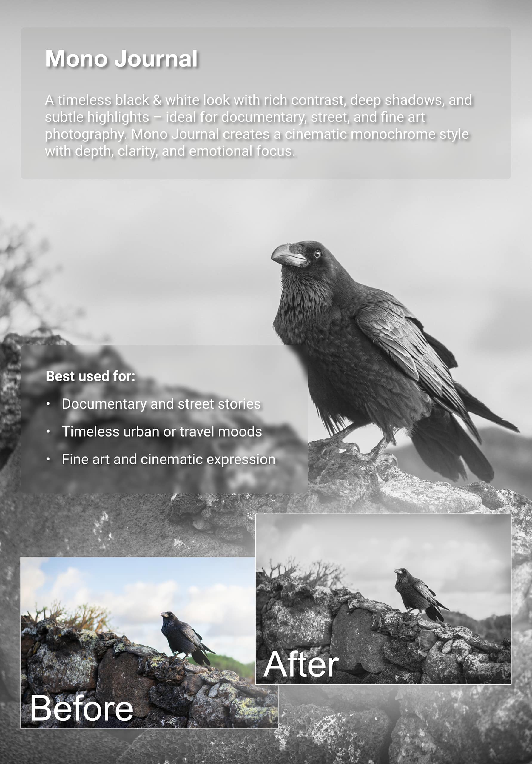 Truelight – Foto-Presets