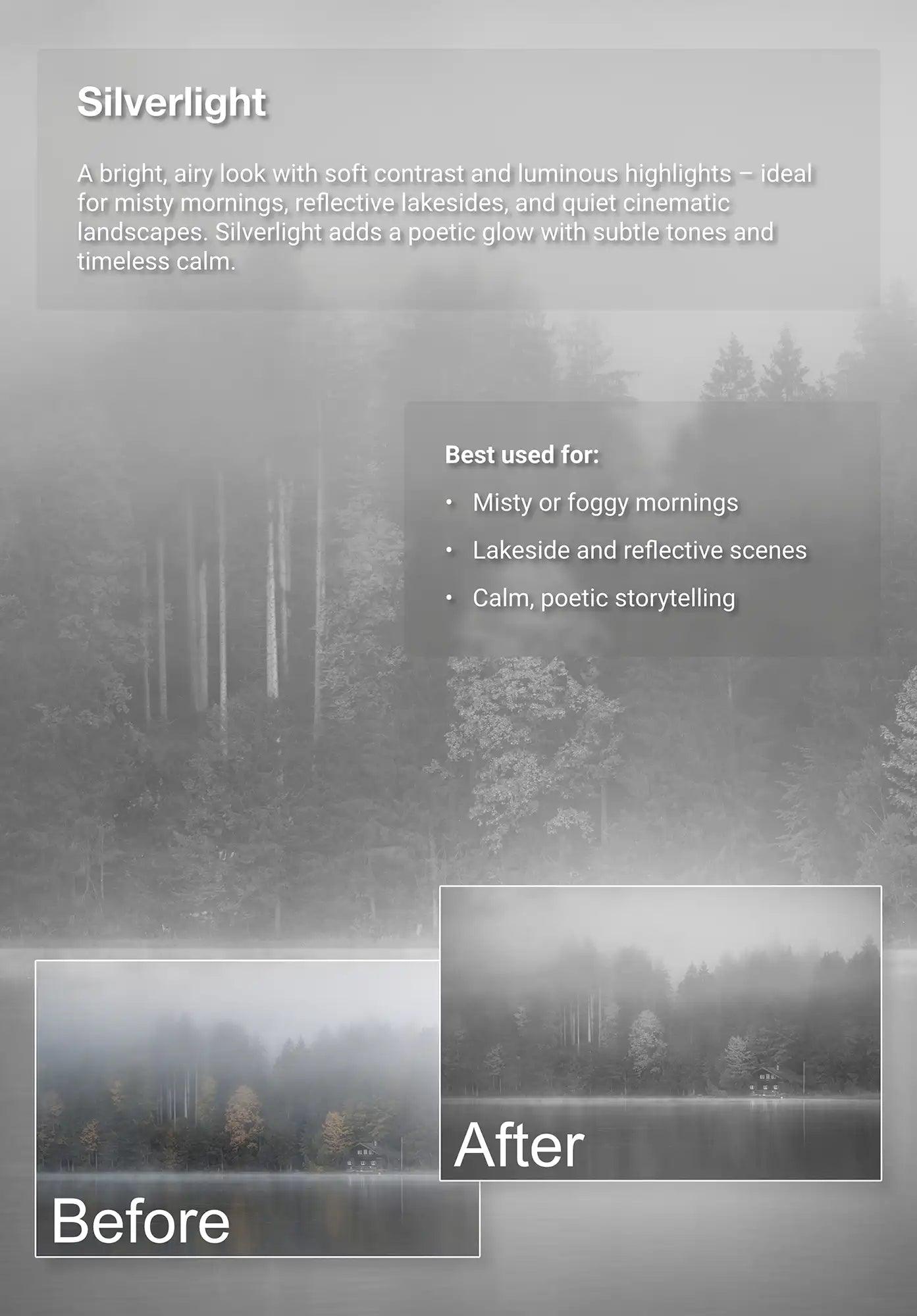Before-and-after example of the Truelight “Silverlight” photo preset showing a misty lakeside forest. The preset adds soft contrast and luminous highlights for a calm, poetic black and white atmosphere.