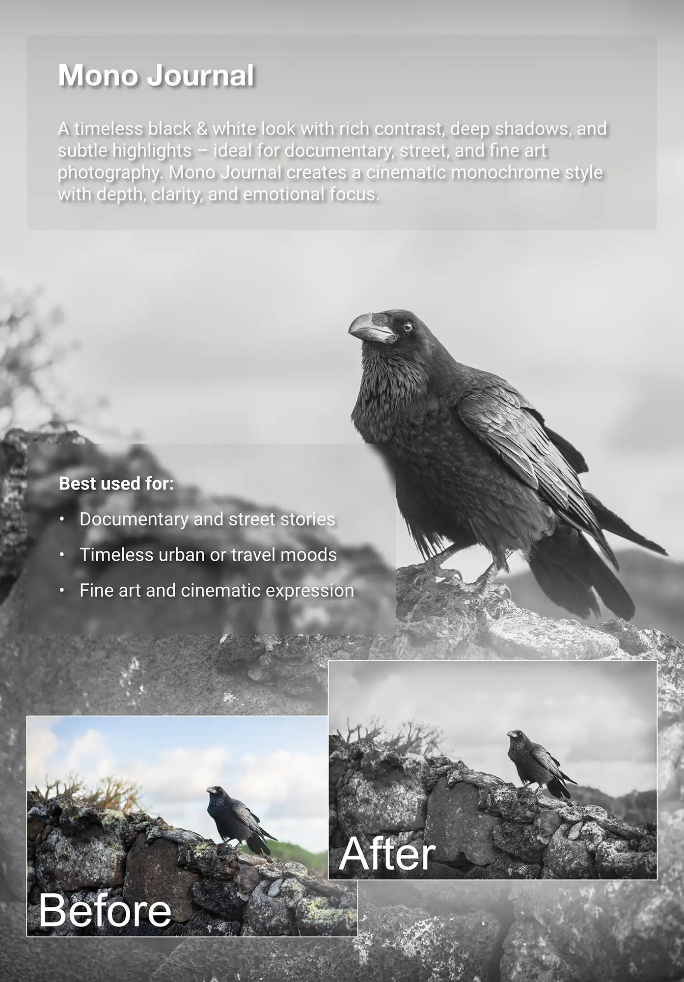 Before-and-after example of the Truelight “Mono Journal” photo preset showing a black bird on volcanic rocks under a cloudy sky. Converts the scene to high-contrast black and white with deep shadows and cinematic clarity.