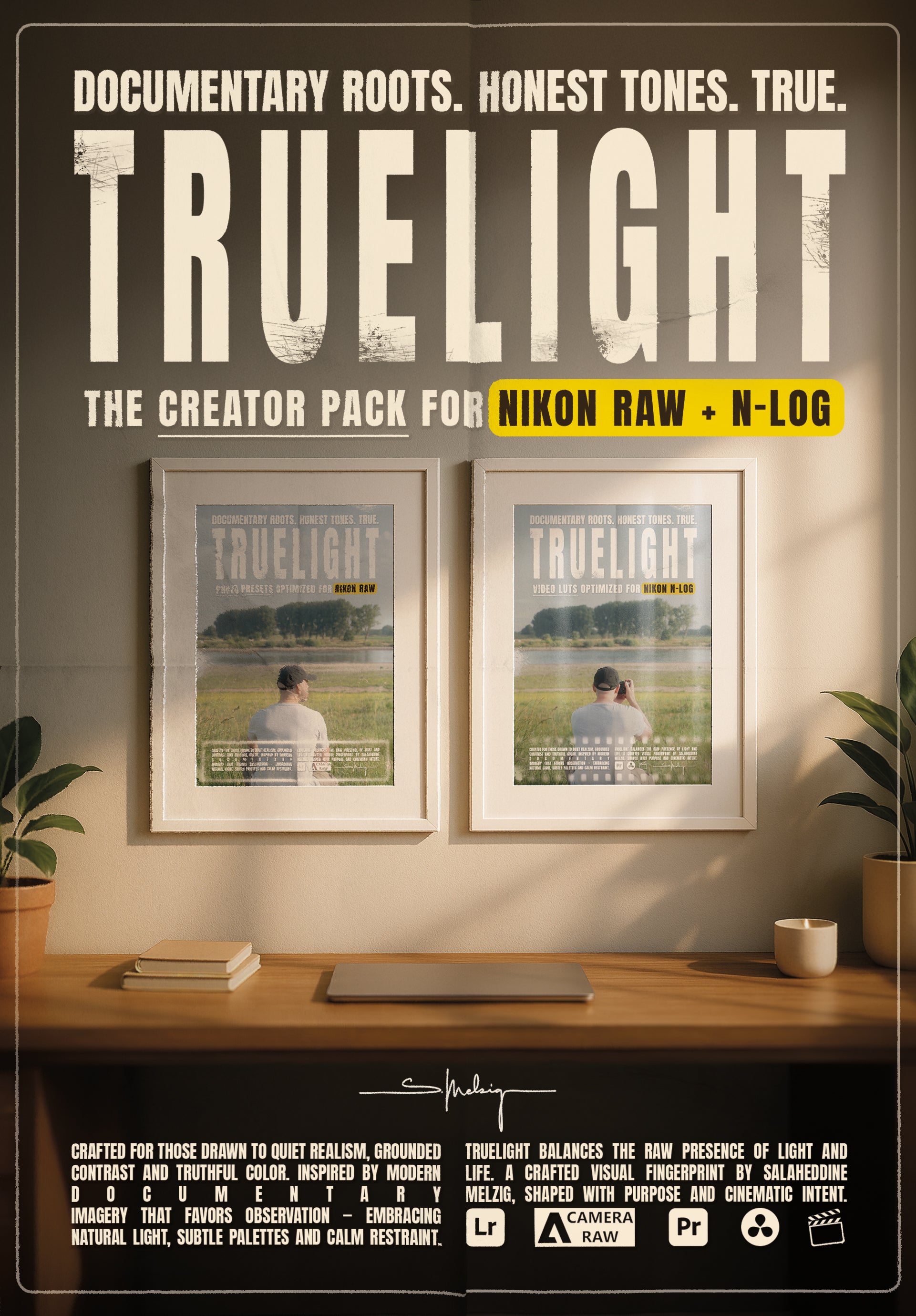 Truelight - Nikon LUTs & Presets Bundle
