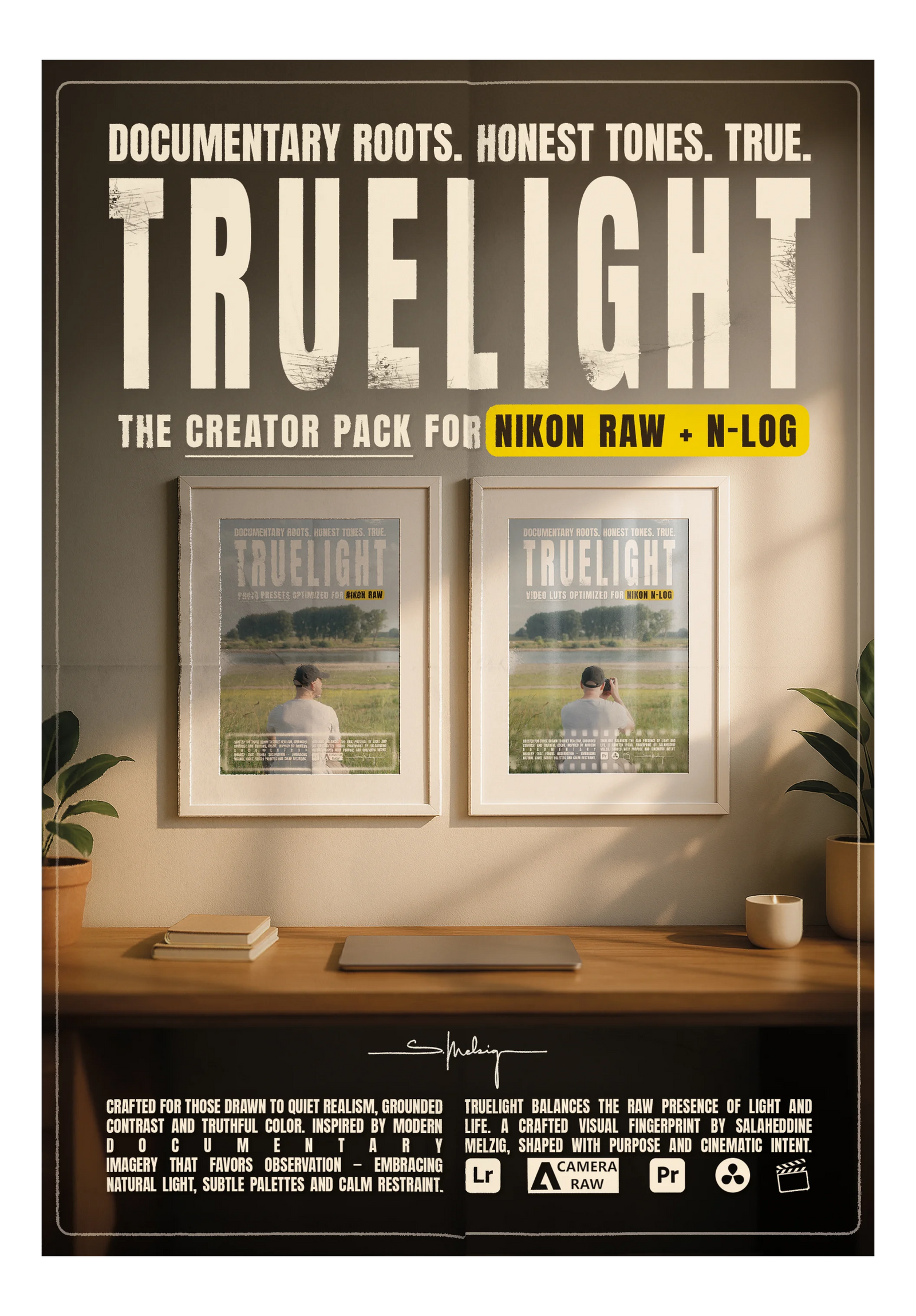 Truelight - Nikon LUTs & Presets Bundle