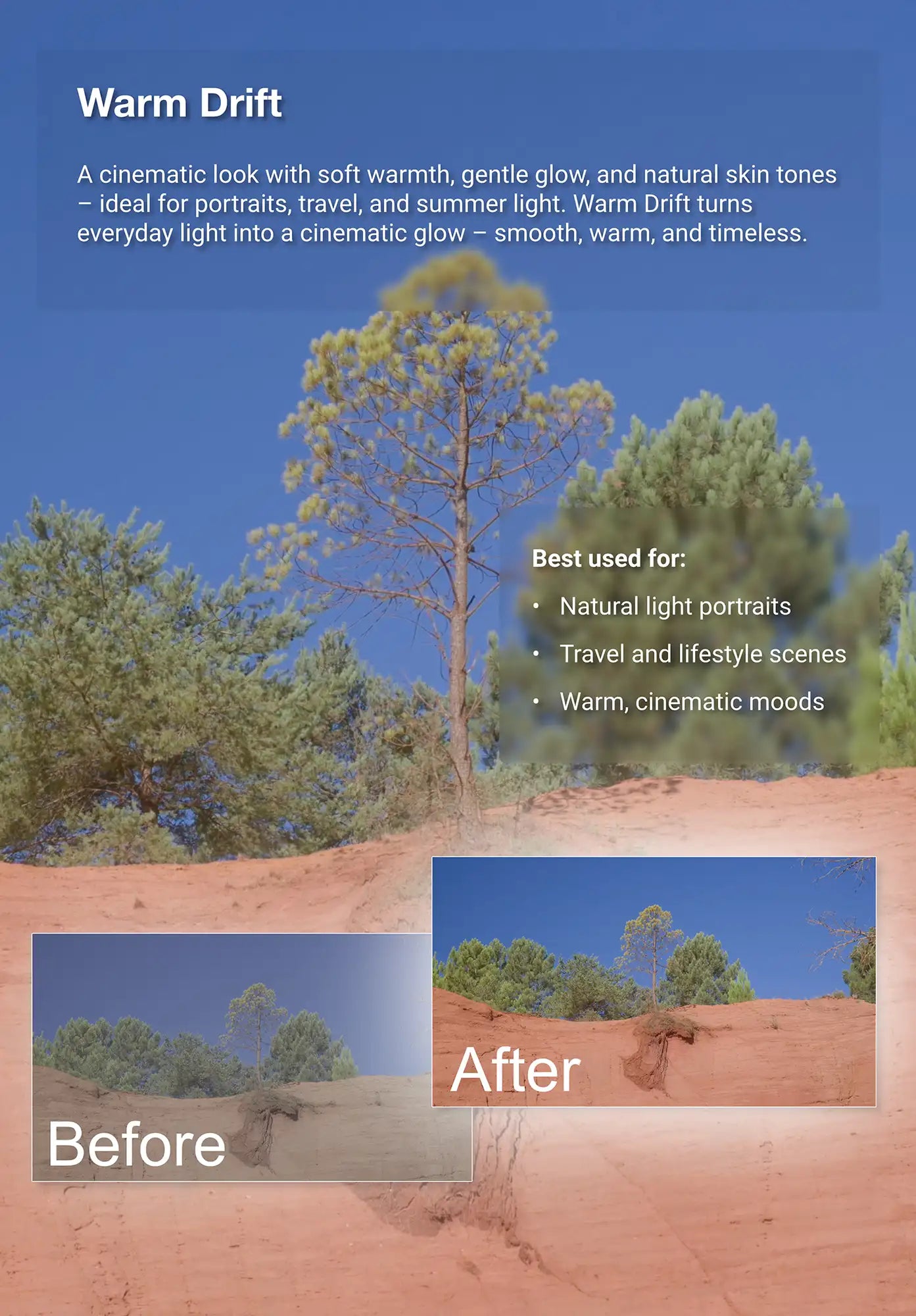 Before-and-after example of the Truelight “Warm Drift” video LUT applied to a sunlit desert scene with pine trees. Adds soft golden tones, cinematic warmth, and smooth light for travel and portrait filmmaking.